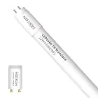 Noxion LED Buis T8 Avant (EM/Mains) Standard Output 19W 2300lm - 865 Daglicht | 150cm - Vervangt 58W