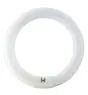 Osram T9 Lumilux Circline 32W - 840 Blanc Froid | 30cm