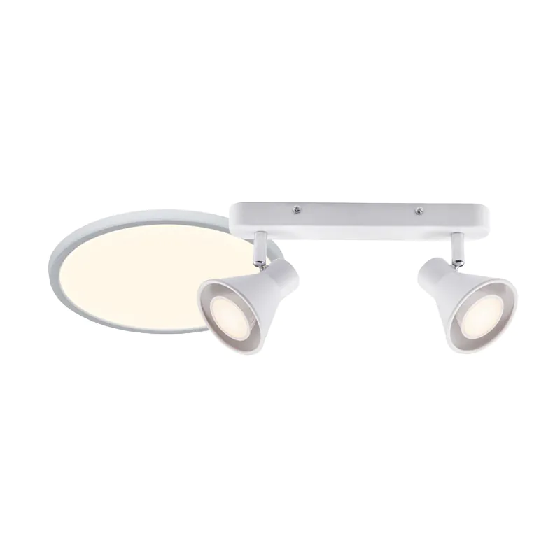 Plafondlampen wit