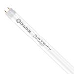 Ledvance LED Buis T8 Performance Food (EM/Mains) Standard Output 5.2W 500lm - 833 Warm Wit | 60cm - Vervangt 18W