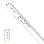 Noxion LED Buis T8 Avant (EM/Mains) Standard Output 7.5W 900lm - 865 Daglicht | 60cm - Vervangt 18W